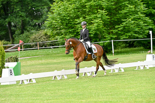  | 30052025 Dressur  (730) 