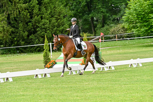  | 30052025 Dressur  (731) 