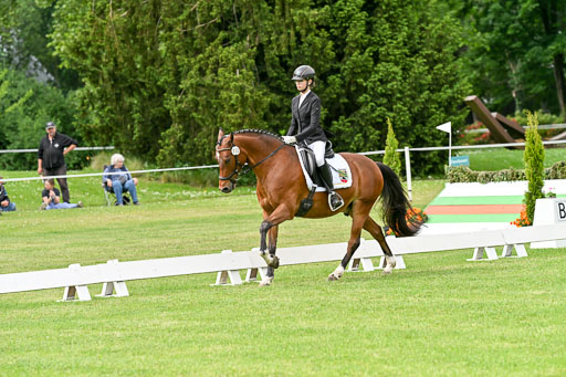  | 30052025 Dressur  (732) 