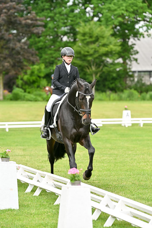  | 30052025 Dressur  (734) 