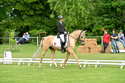  | 30052025 Dressur  (741) 