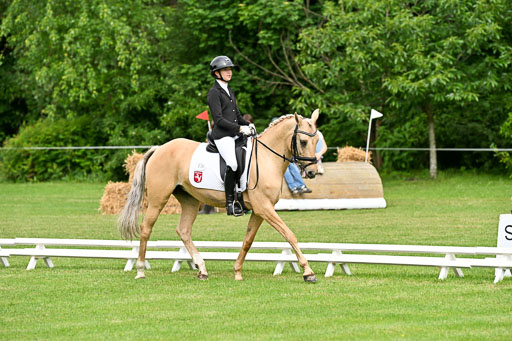  | 30052025 Dressur  (742) 