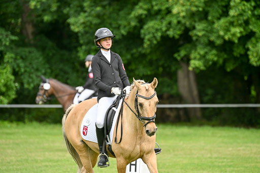  | 30052025 Dressur  (743) 