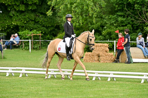  | 30052025 Dressur  (748) 