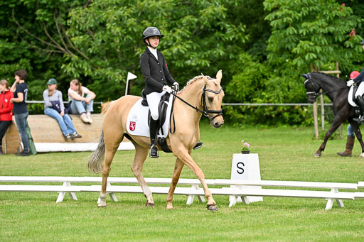  | 30052025 Dressur  (750) 