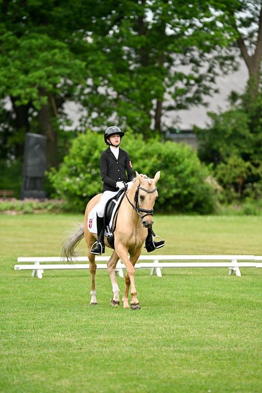  | 30052025 Dressur  (752) 