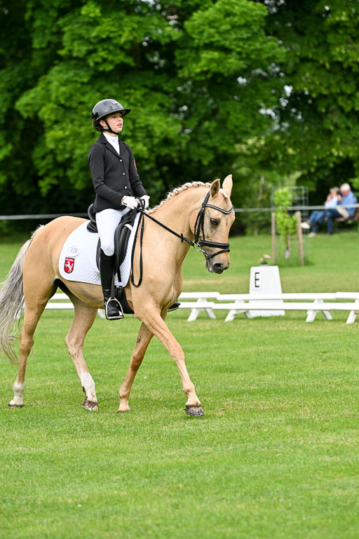  | 30052025 Dressur  (757) 