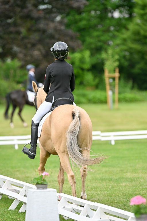  | 30052025 Dressur  (758) 