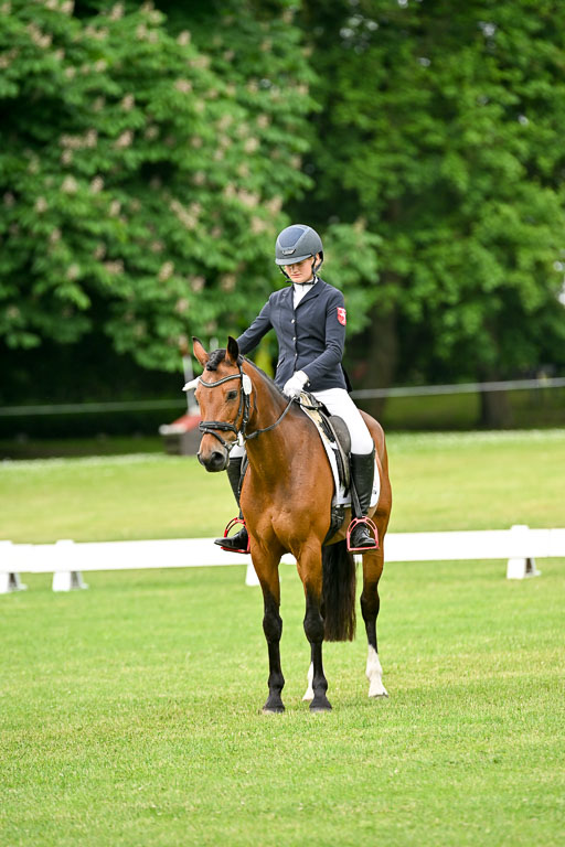  | 30052025 Dressur  (760) 