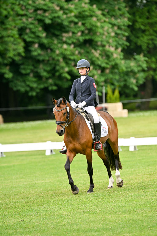  | 30052025 Dressur  (761) 