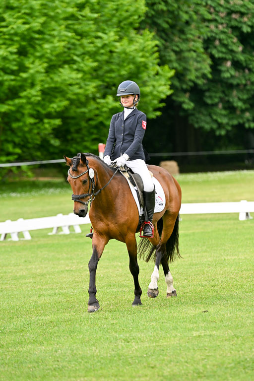  | 30052025 Dressur  (762) 