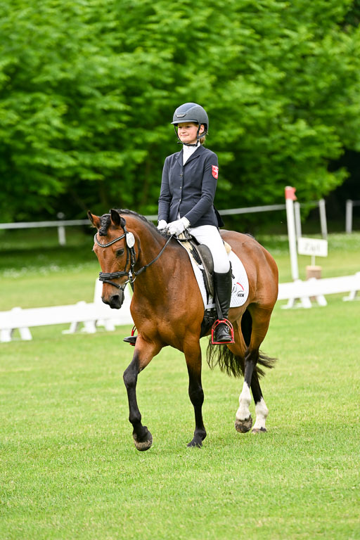  | 30052025 Dressur  (763) 