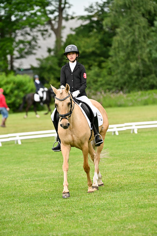  | 30052025 Dressur  (764) 