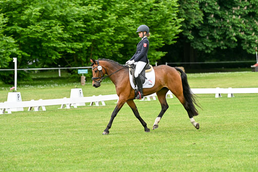  | 30052025 Dressur  (766) 