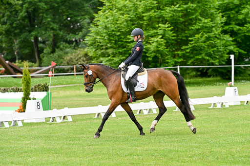  | 30052025 Dressur  (767) 