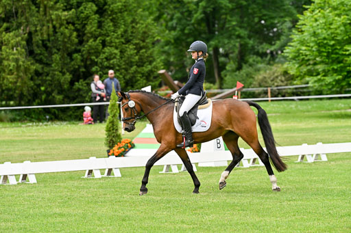  | 30052025 Dressur  (768) 