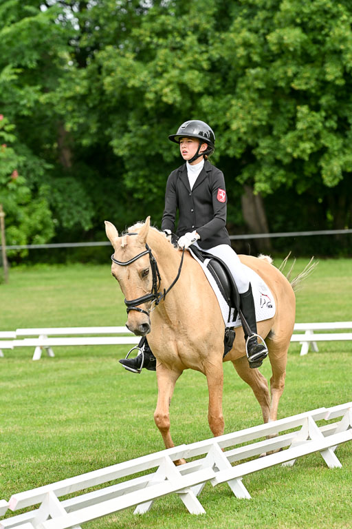  | 30052025 Dressur  (771) 