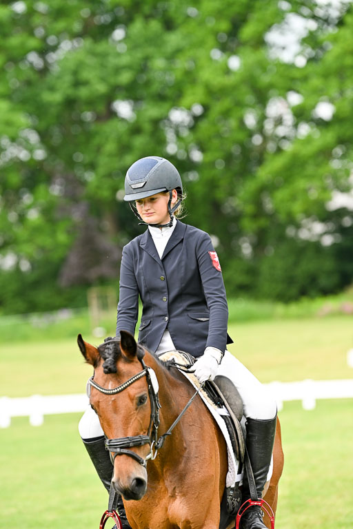  | 30052025 Dressur  (773) 