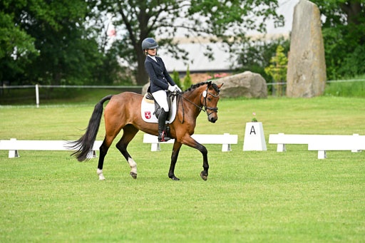  | 30052025 Dressur  (774) 