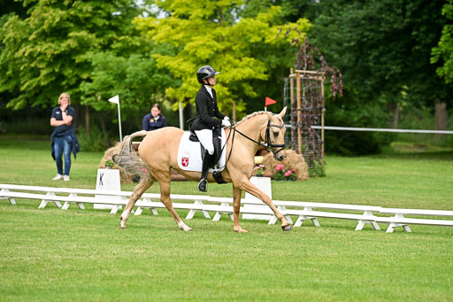  | 30052025 Dressur  (775) 