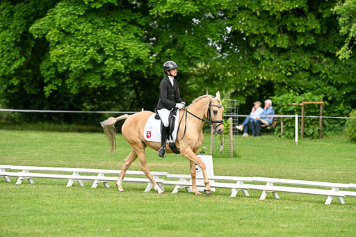  | 30052025 Dressur  (777) 