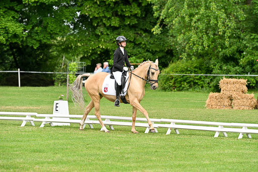  | 30052025 Dressur  (778) 