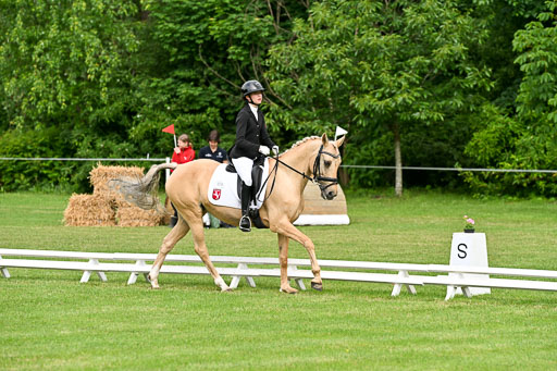  | 30052025 Dressur  (779) 