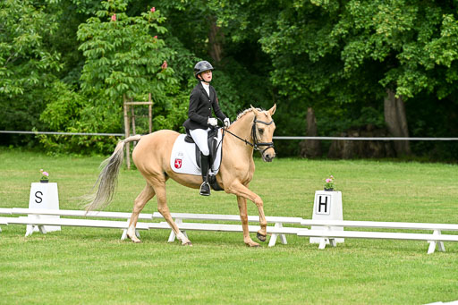  | 30052025 Dressur  (780) 