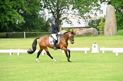  | 30052025 Dressur  (781) 