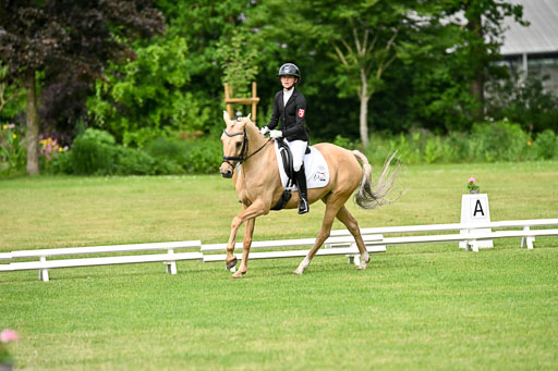  | 30052025 Dressur  (785) 