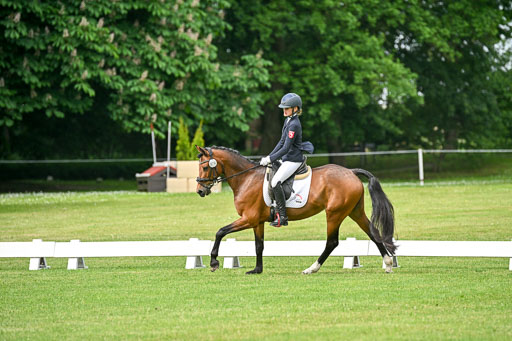  | 30052025 Dressur  (787) 