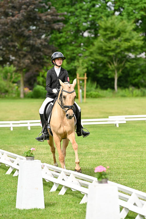  | 30052025 Dressur  (790) 