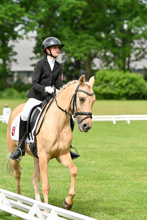  | 30052025 Dressur  (791) 