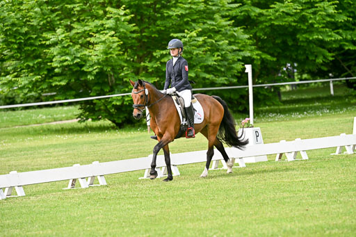  | 30052025 Dressur  (792) 