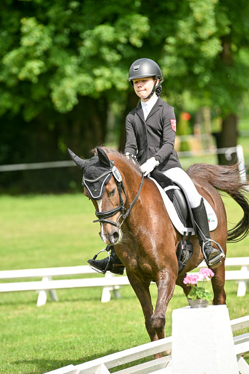  | 30052025 Dressur  (810) 