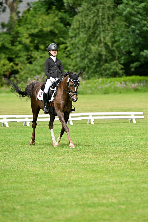  | 30052025 Dressur  (811) 