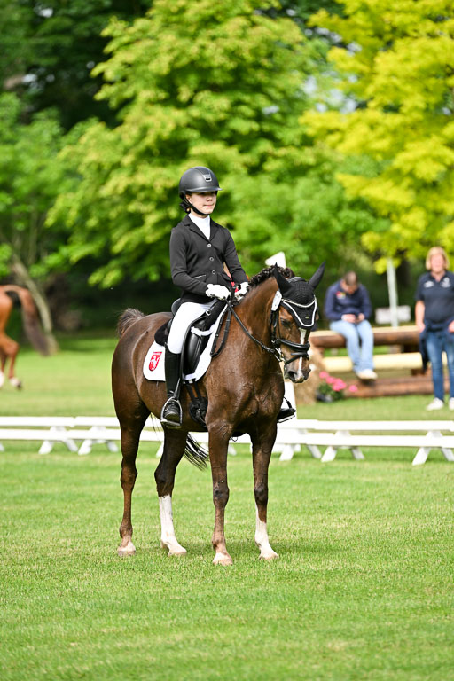  | 30052025 Dressur  (812) 