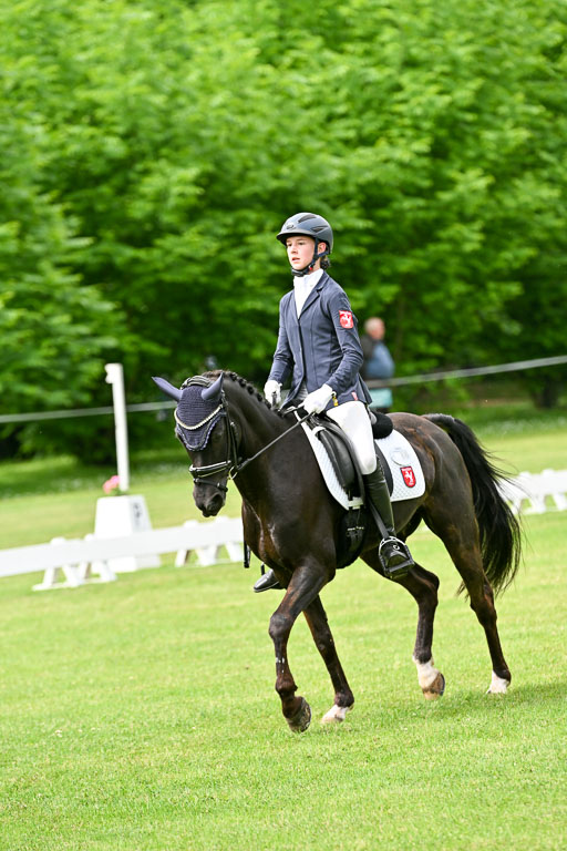  | 30052025 Dressur  (817) 