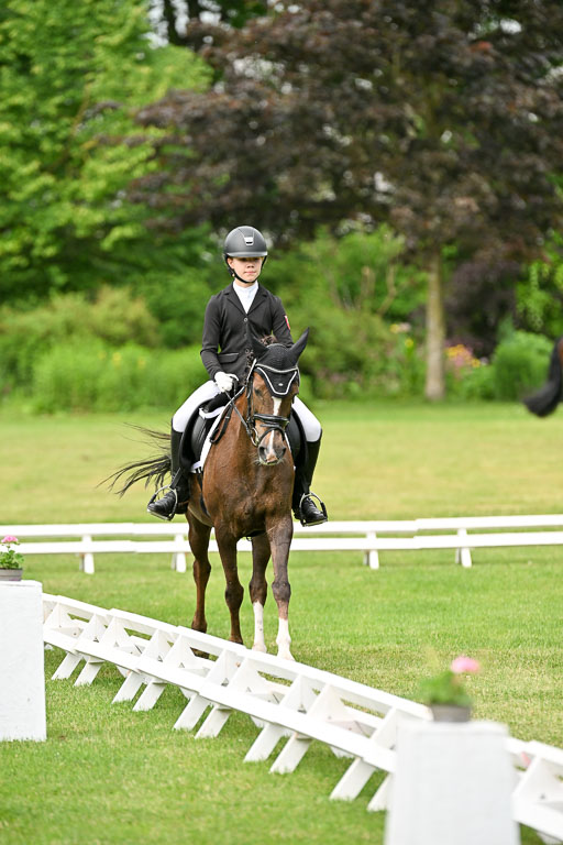  | 30052025 Dressur  (822) 