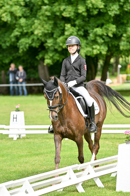  | 30052025 Dressur  (823) 