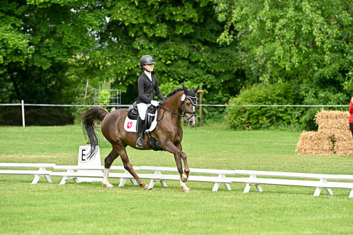  | 30052025 Dressur  (828) 