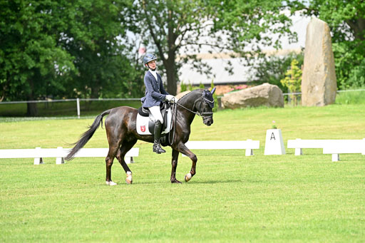  | 30052025 Dressur  (831) 