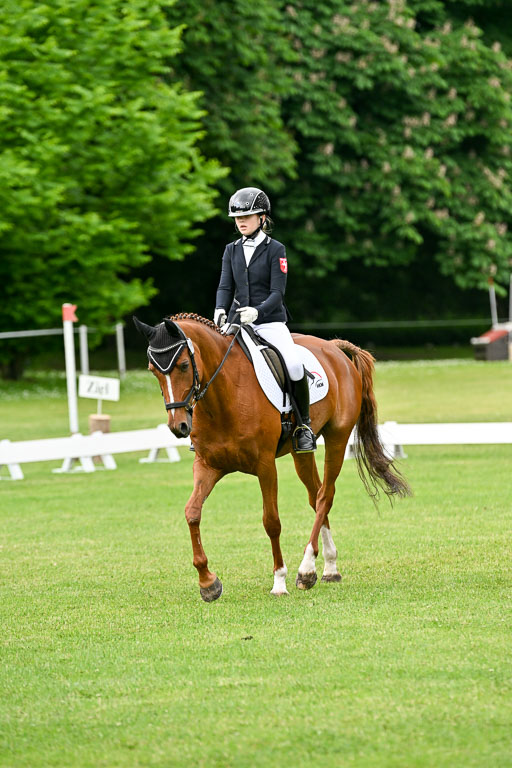  | 30052025 Dressur  (858) 