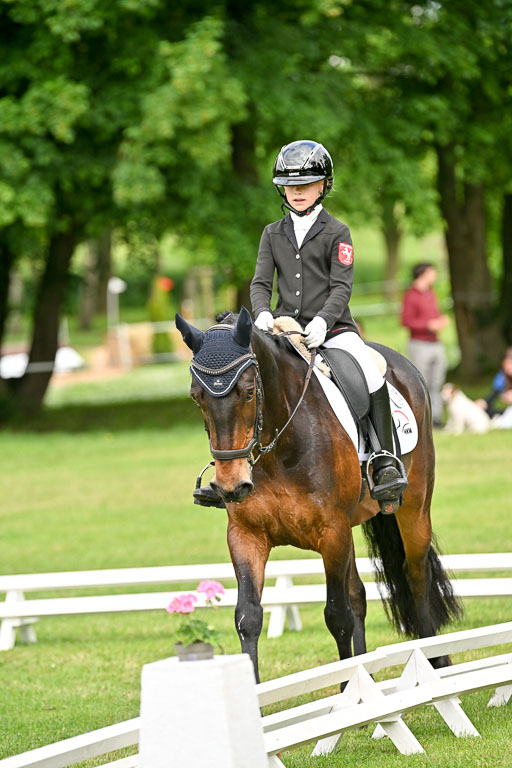  | 30052025 Dressur  (865) 