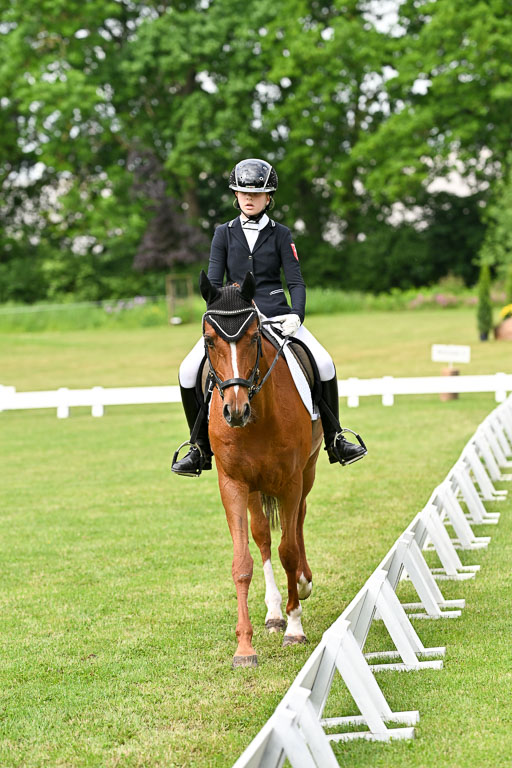  | 30052025 Dressur  (869) 