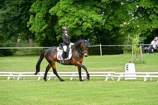  | 30052025 Dressur  (872) 