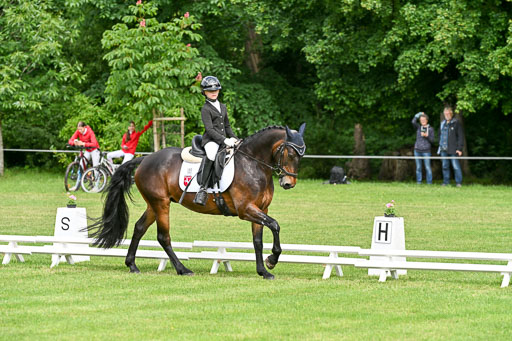  | 30052025 Dressur  (876) 