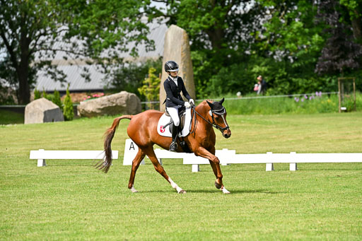  | 30052025 Dressur  (878) 