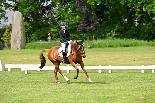  | 30052025 Dressur  (879) 