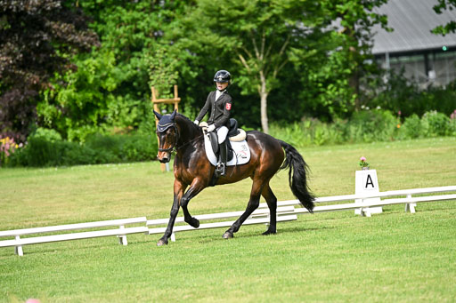  | 30052025 Dressur  (883) 